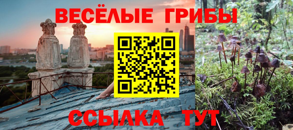 Псилоцибиновые грибы Psilocybine cubensis  Вход с VPN  Псилоцибиновые грибы ЛСД  Каспийск 